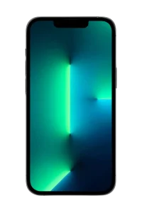 iPhone 13 pro max (1)