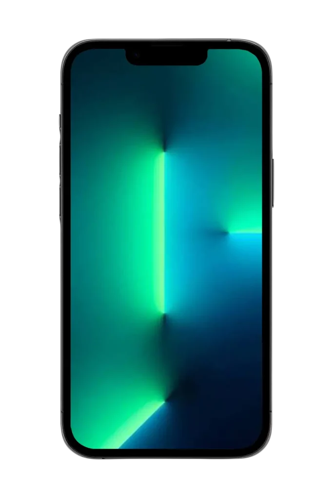 iPhone 13 pro max (1)